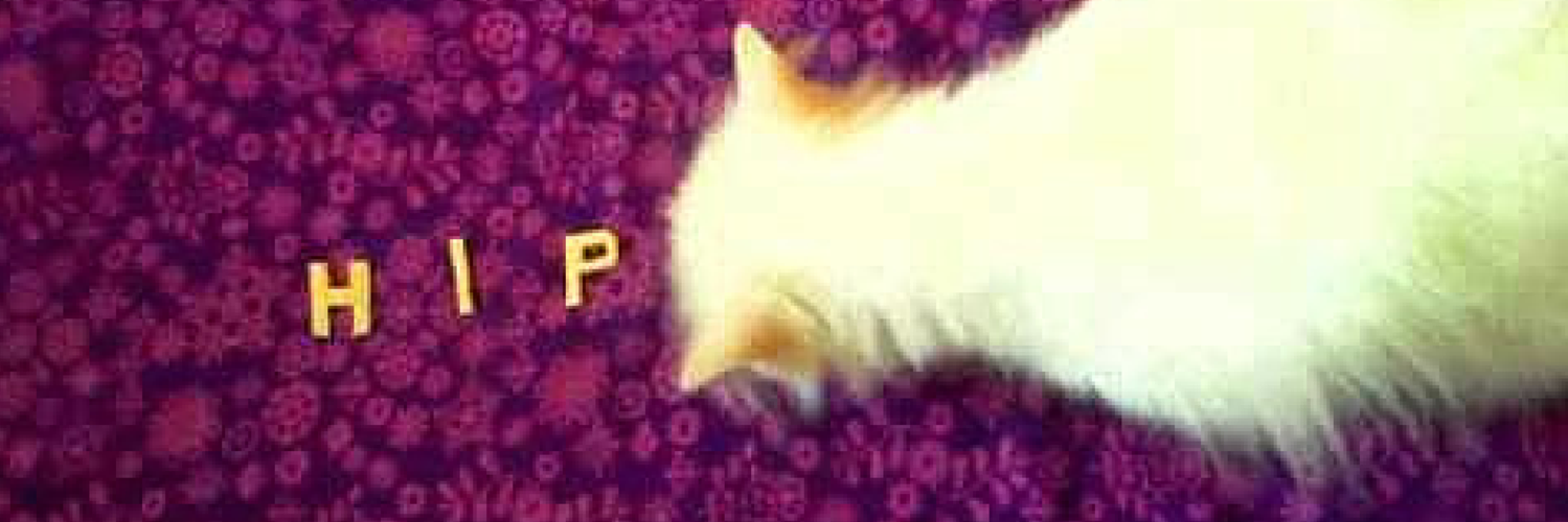 HipCatShop's profile banner image