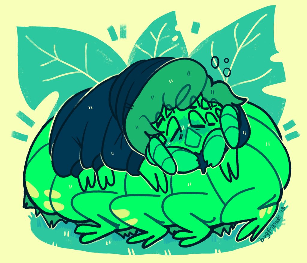 scaredlittlebug's profile banner image