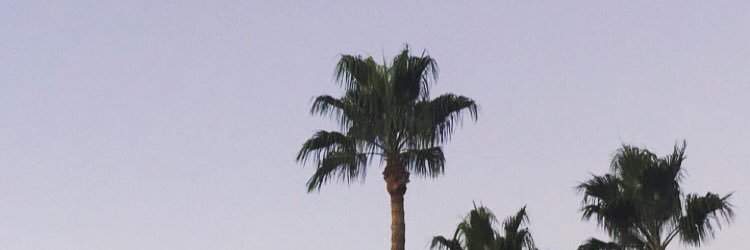 flathairedhemmo's profile banner image