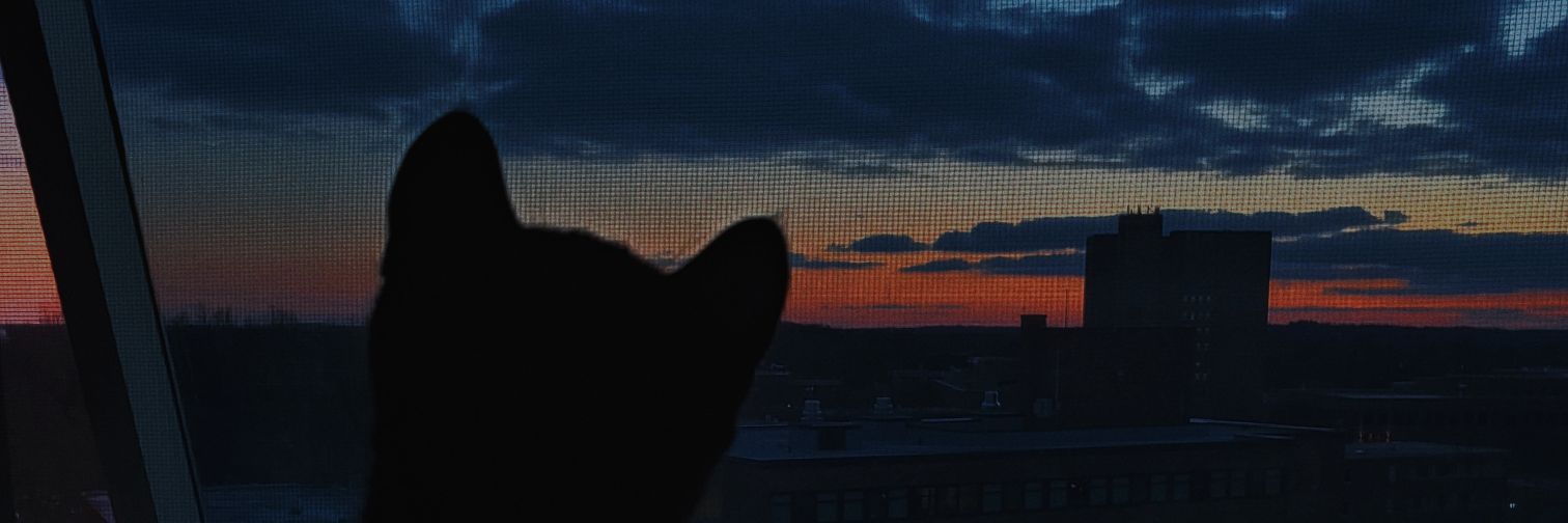 brihallen's profile banner image