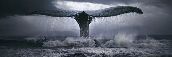 Firsovaaaa's profile banner image