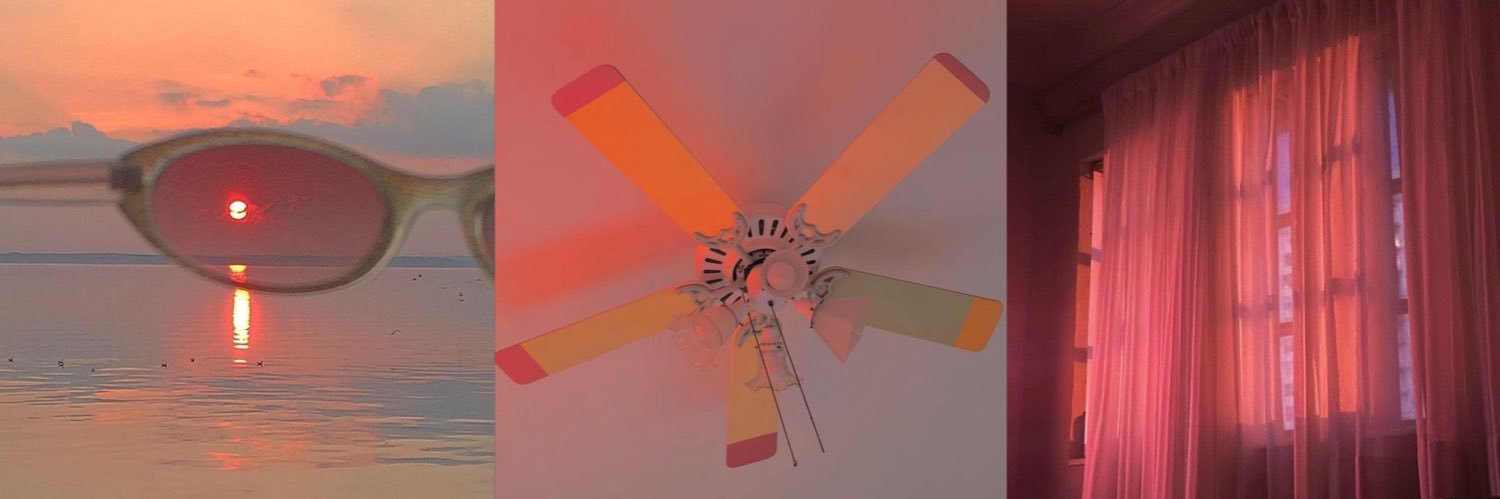 dumpster baby banner