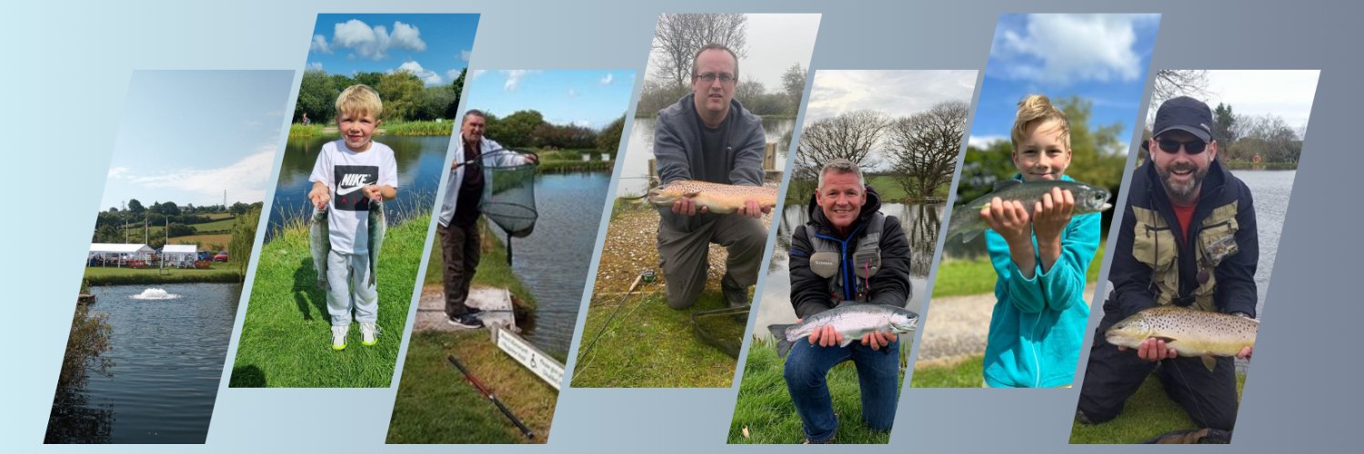 tymtrout's profile banner image