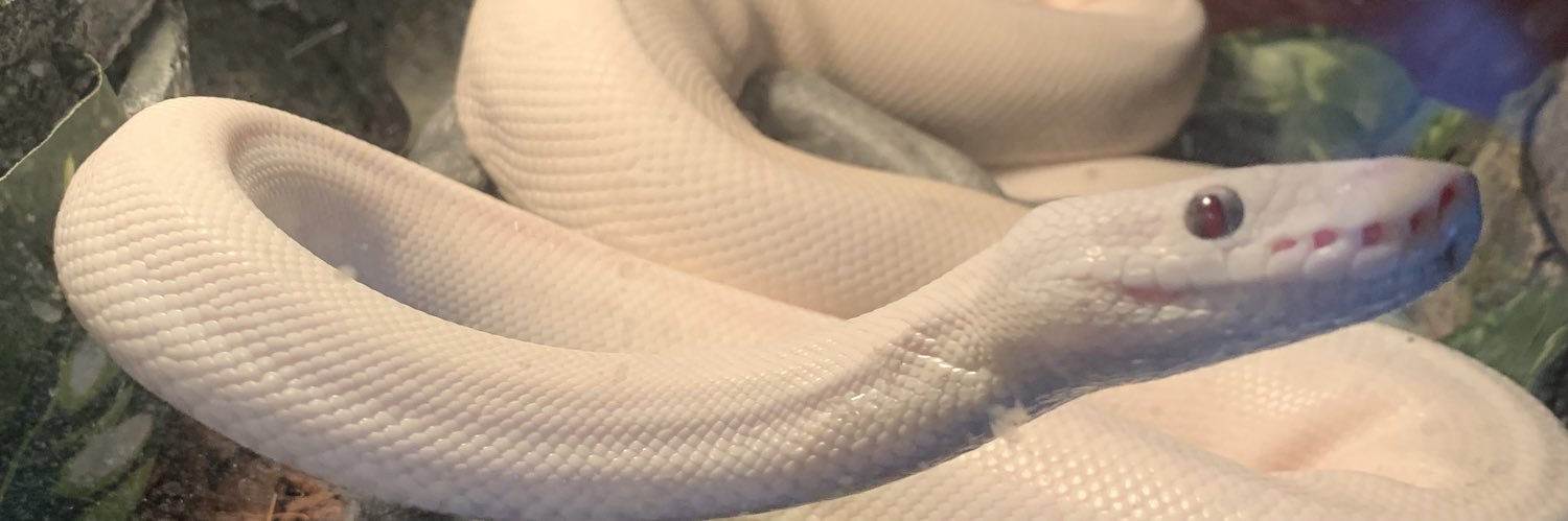 HammondsBailey's profile banner image