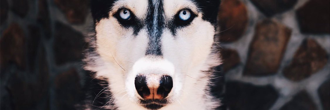 _caamilaaa__'s profile banner image