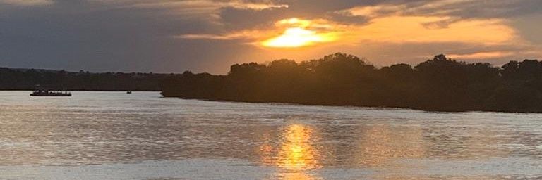 museredza's profile banner image