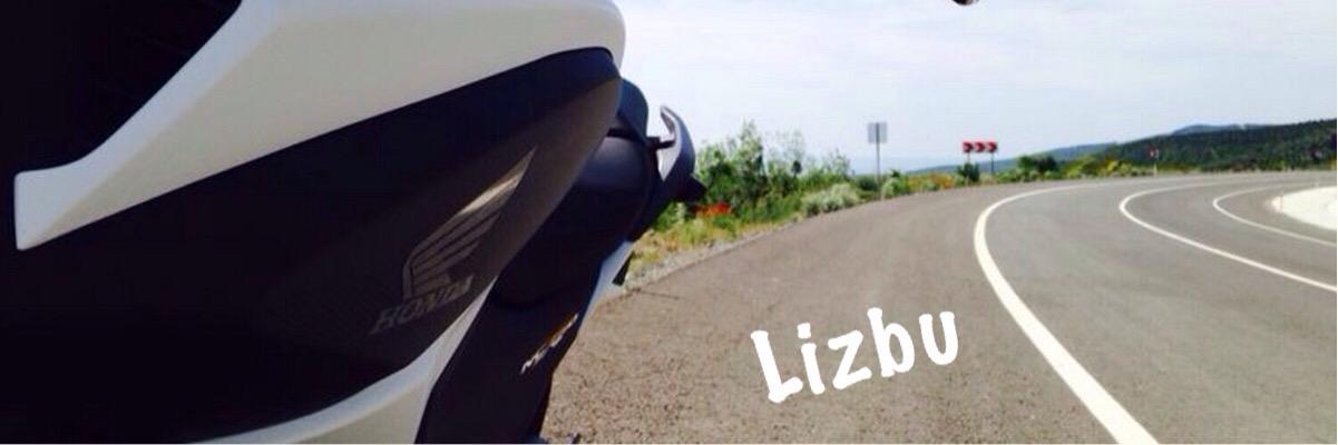 liizbu's profile banner image