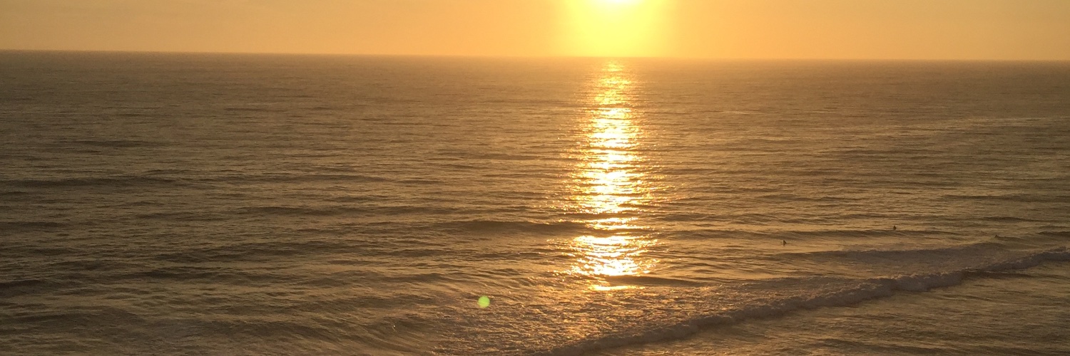 Terry D. Turchie banner