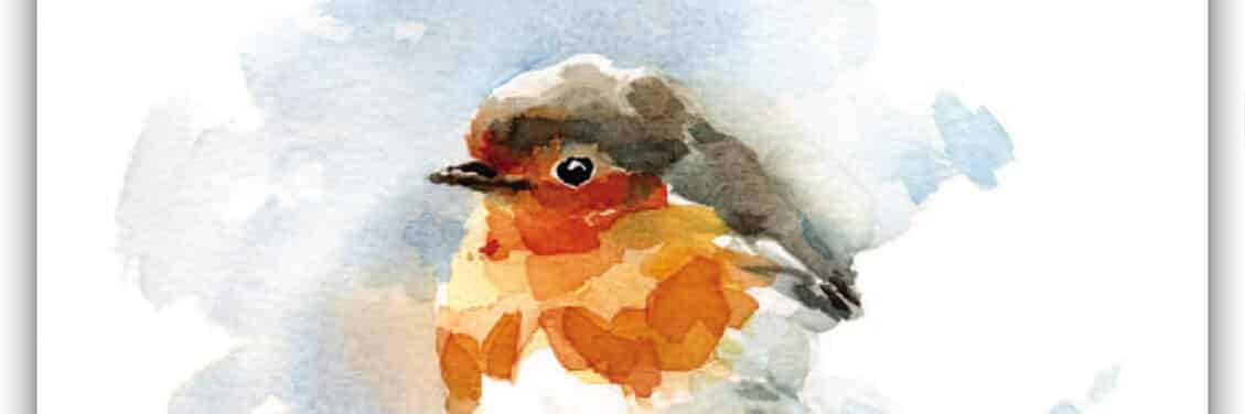 FSC Publications banner