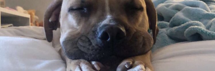 Colton_Ketterer's profile banner image