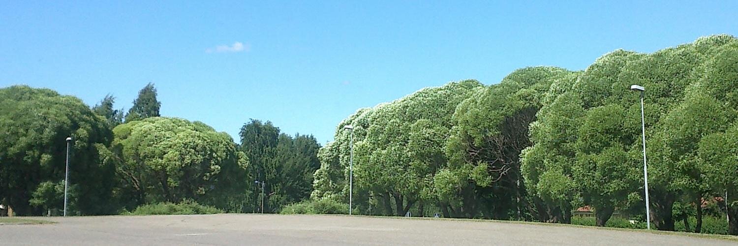 Ville Könönen banner