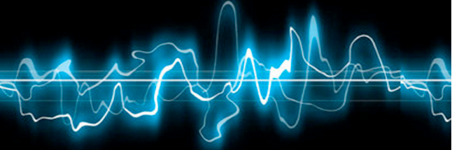 Paco banner