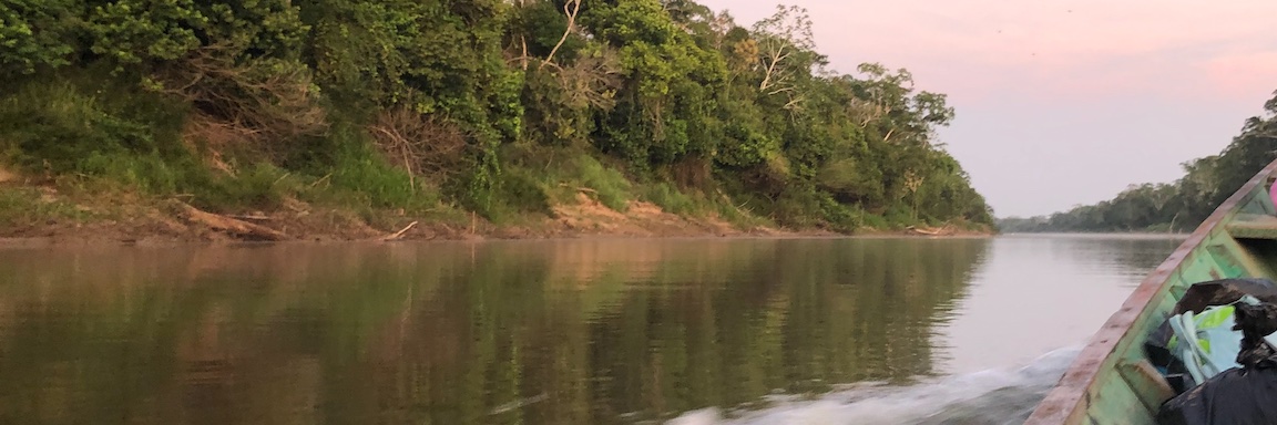 Johanna Schick banner