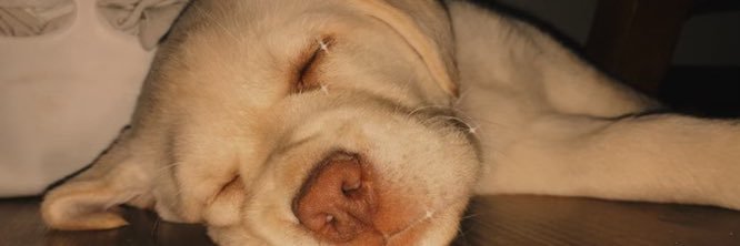 brooketolley's profile banner image
