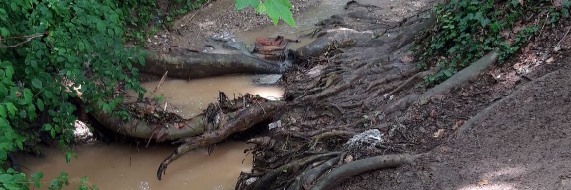 jessegoval7's profile banner image