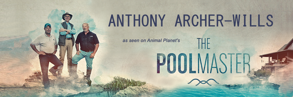 ArcherWills's profile banner image