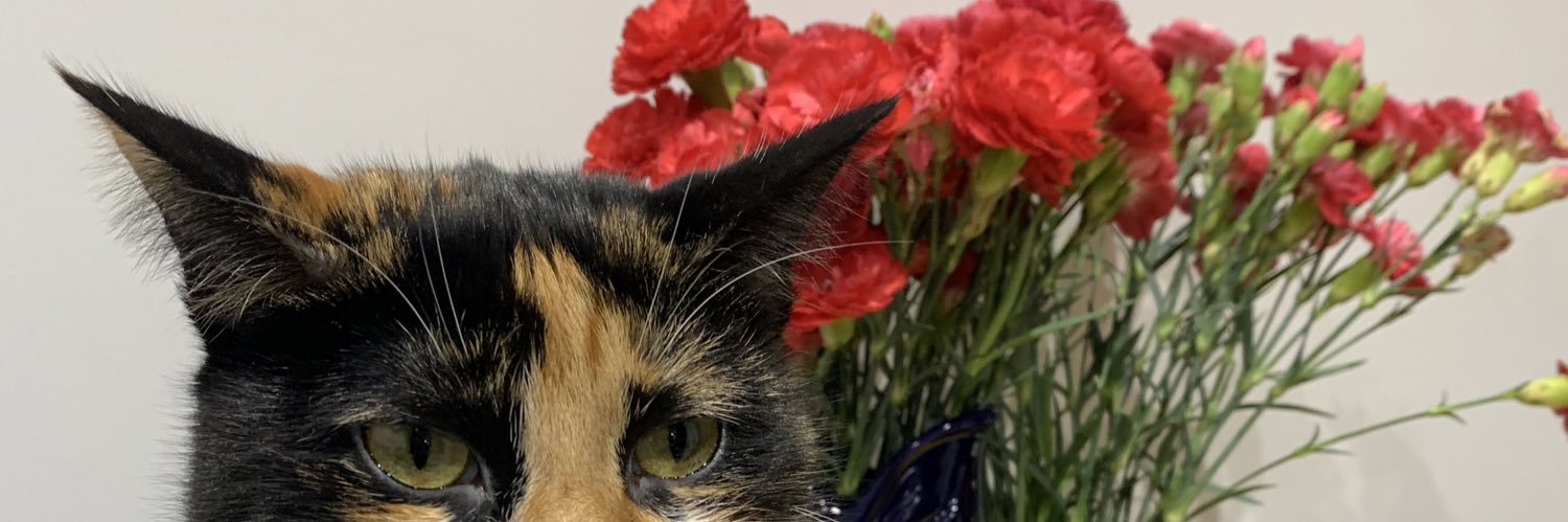 JessicaaLoou's profile banner image