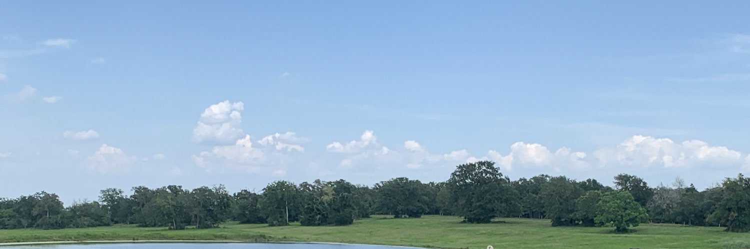 bcsteinhauser's profile banner image