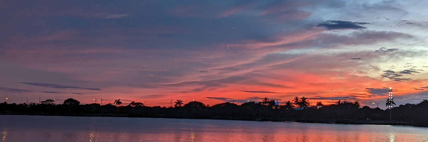 Priscilla Austin banner