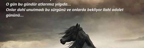 yonca_dinc's profile banner image