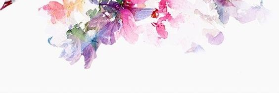 kikakuki banner