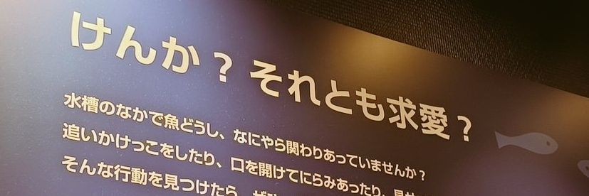 TorikawaV3's profile banner image