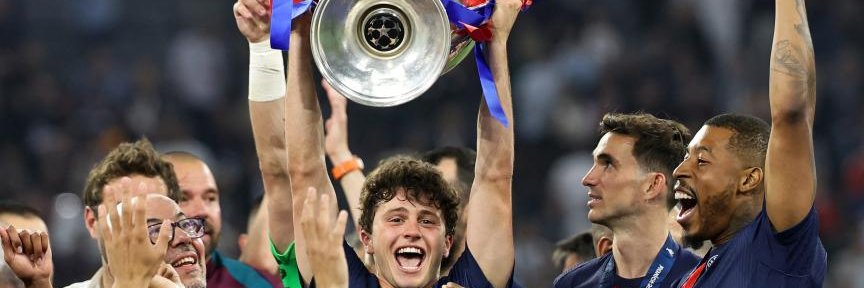 #Zoltan du sud banner