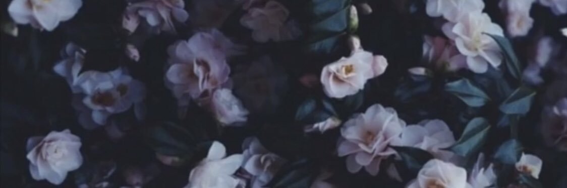 mem_alr25's profile banner image