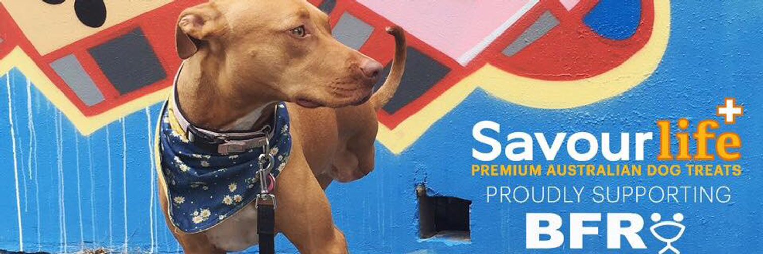 Best Friends Rescue (BFRescue) Twitter