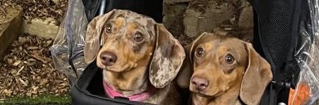 abbieconx's profile banner image