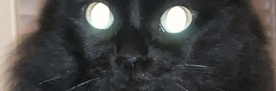 knahsc's profile banner image