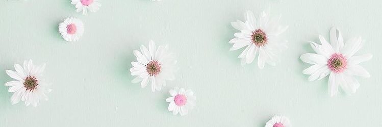 NicoliKimberly's profile banner image