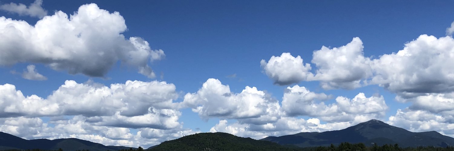 trees_r_cool's profile banner image