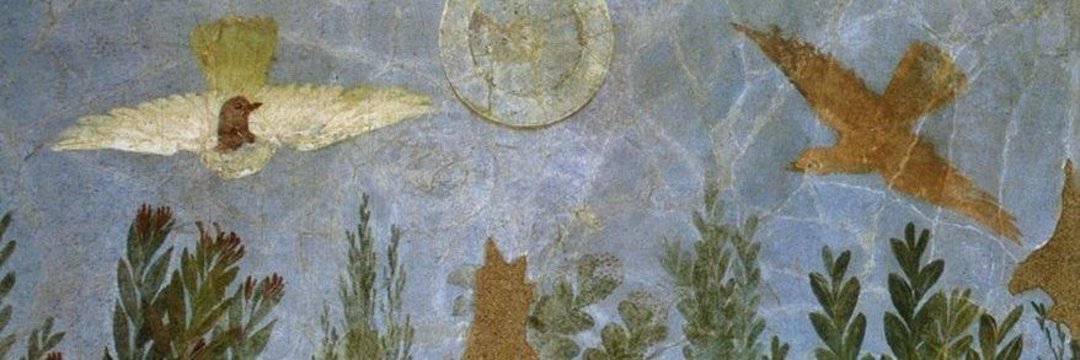 dileksrb's profile banner image