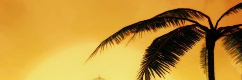 823u2_'s profile banner image
