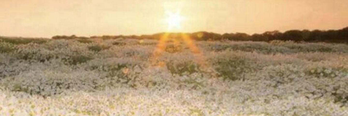 Case_Maynard's profile banner image