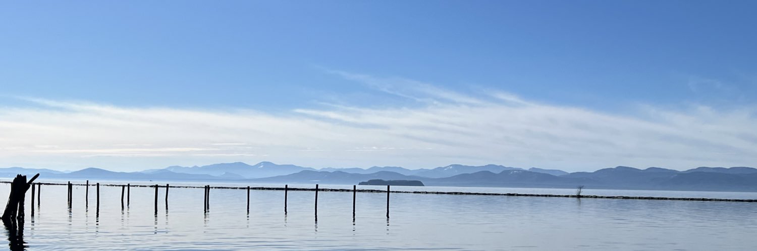 LissahRuth's profile banner image