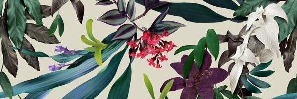 Erika Larson banner