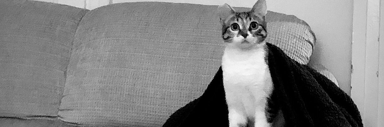 murtbulut's profile banner image