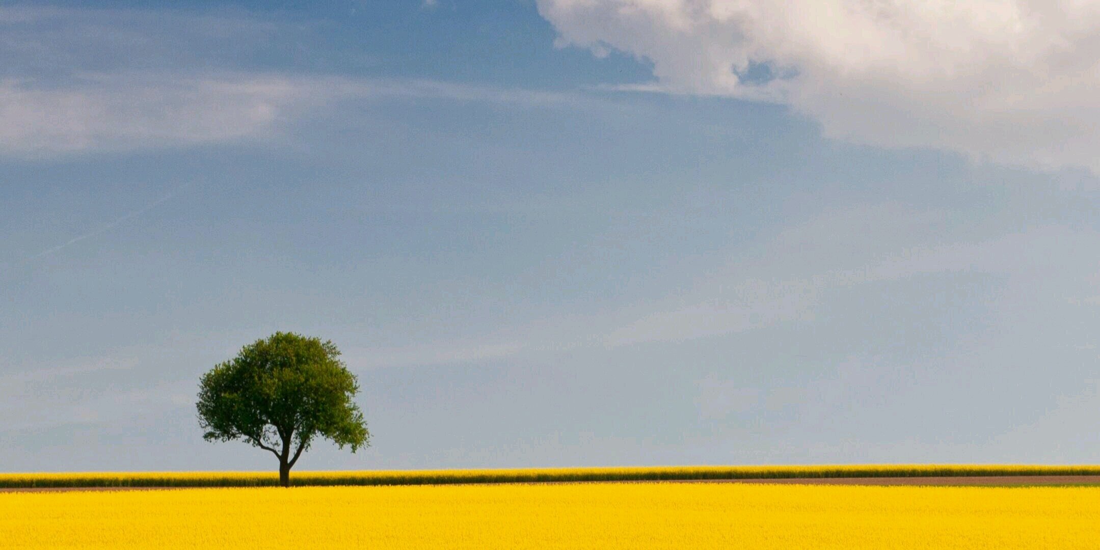 chie19870925's profile banner image