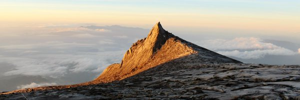 KateATimmins Profile Banner