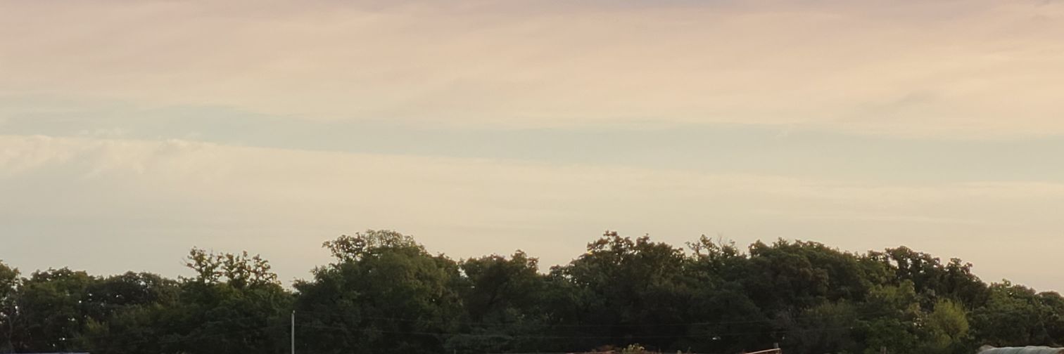 Barbara Jones banner