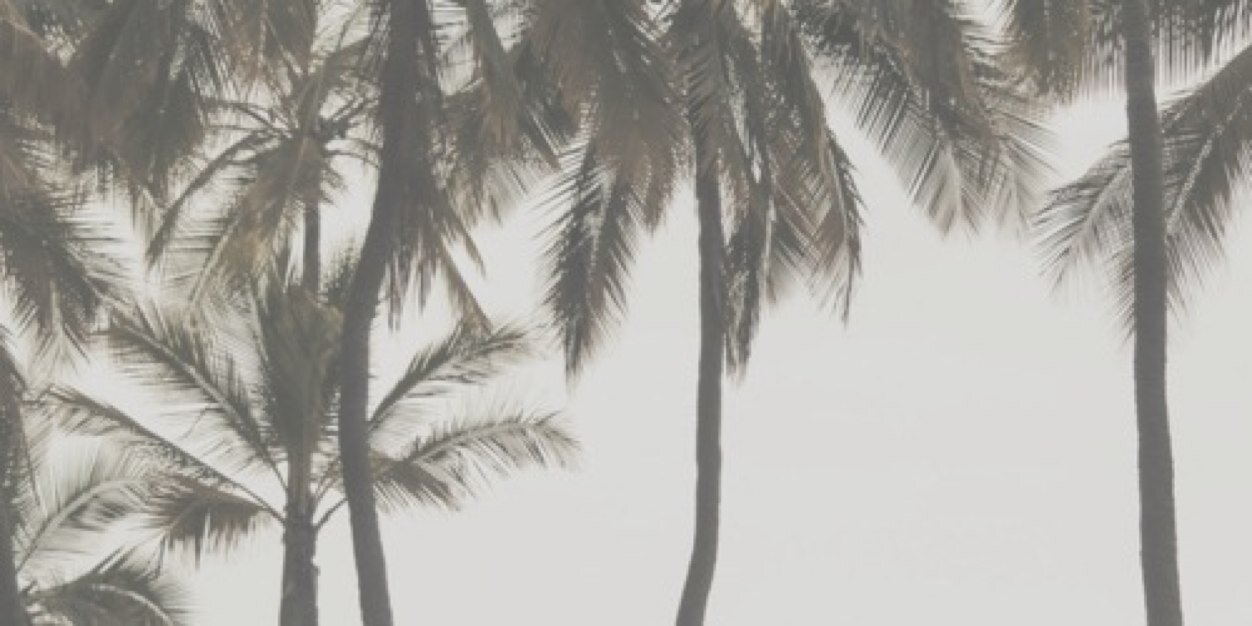amandaRPGSG's profile banner image