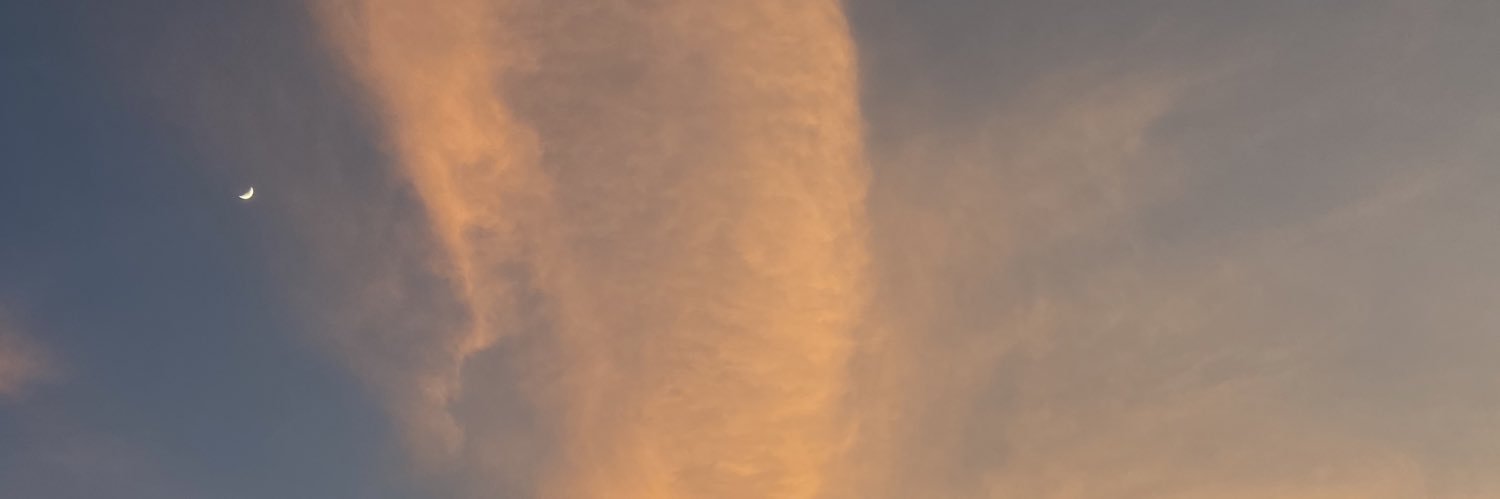 marolitom's profile banner image