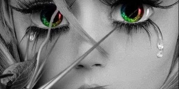 Hayley banner