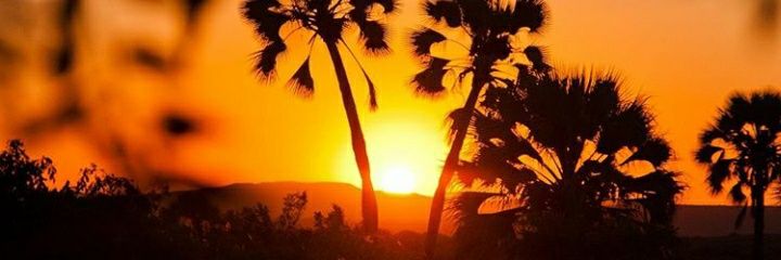 NegongaTim's profile banner image