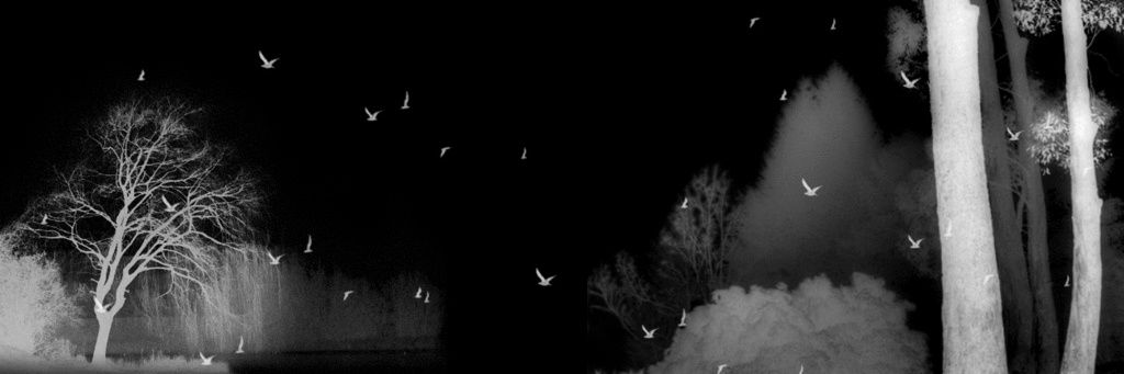 jonginfam's profile banner image