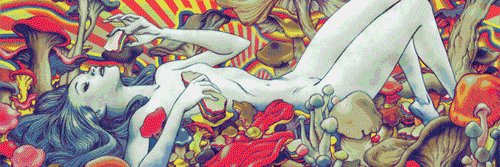 ToOn_Kidd's profile banner image