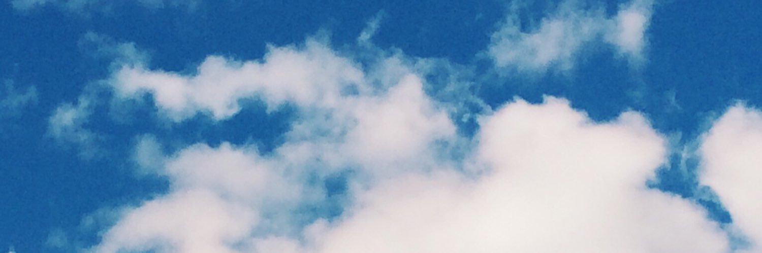 pittemic's profile banner image