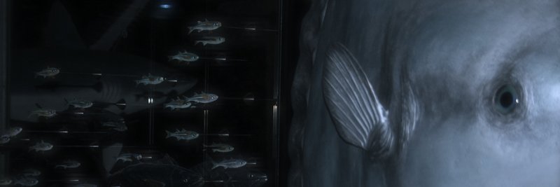 Natdeleville's profile banner image